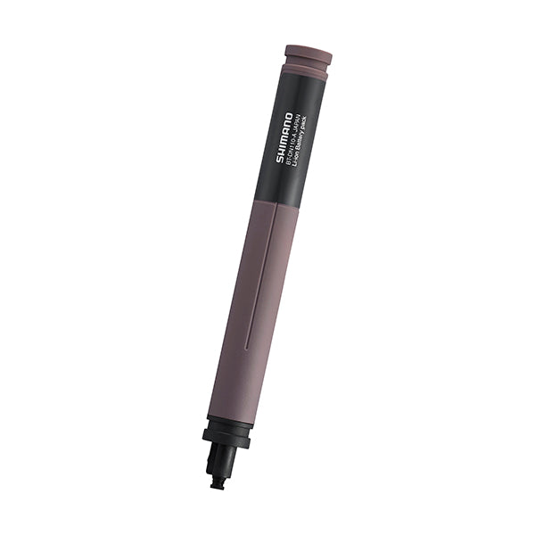 Batería Interna BT-DN110-A