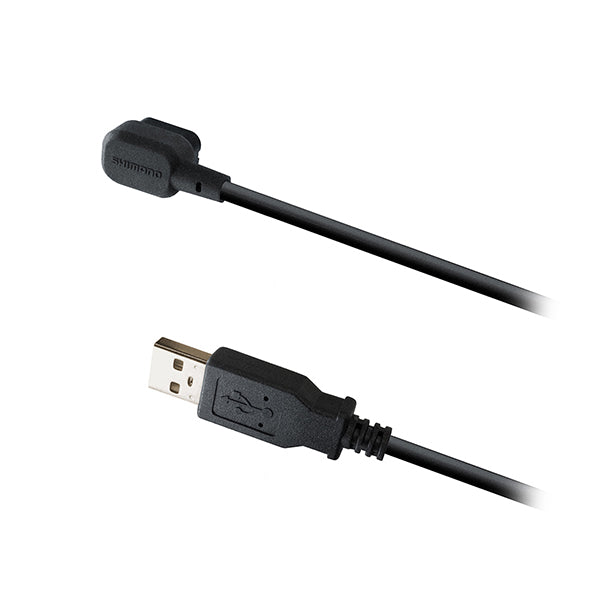 Cable de Carga 1700mm EW-EC300